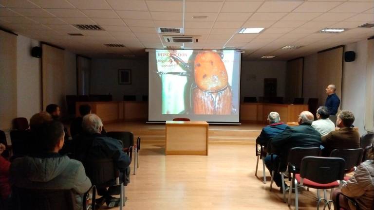 Charla para controlar la plaga de picudo rojo en Peal de Becerro Charla para controlar la plaga de picudo rojo en Peal de Becerro