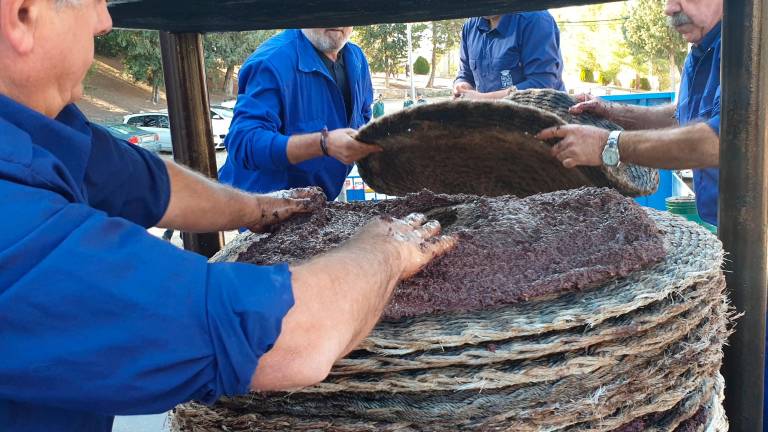 Los marteños no dudan en rendir homenaje a su tradición olivarera Los marteños no dudan en rendir homenaje a su tradición olivarera