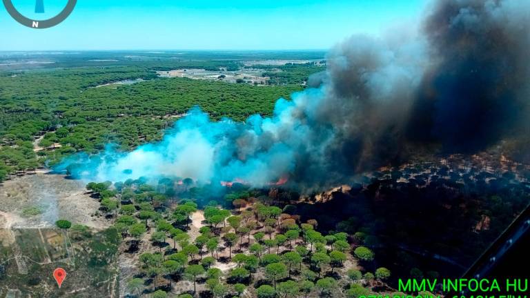 Declarado el nivel 1 de alerta por un incendio en Bonares, en Huelva, que obliga al desalojo de vecinos Declarado el nivel 1 de alerta por un incendio en Bonares, en Huelva, que obliga al desalojo de vecinos