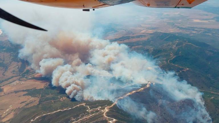 Continúan las labores para extinguir el incendio activo en Tarifa (Cádiz) Continúan las labores para extinguir el incendio activo en Tarifa (Cádiz)