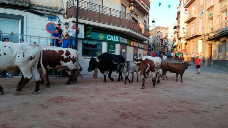 Cuarto día de fiesta por la patrona Cuarto día de fiesta por la patrona