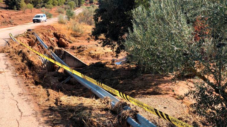 Última etapa para adecentar el cordón umbilical cabrileño