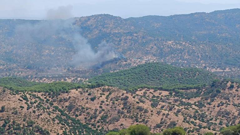 Declarado un incendio en el embalse de Encinarejo en Andújar, los bomberos forestales trabajan para lograr la extinción Declarado un incendio en el embalse de Encinarejo en Andújar, los bomberos forestales trabajan para lograr la extinción