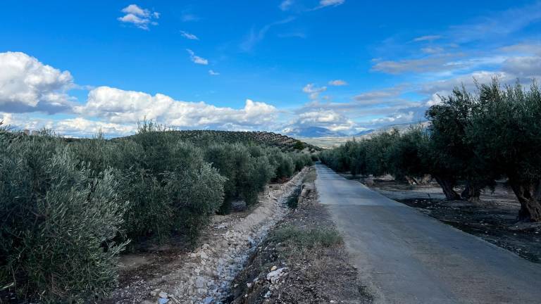 Veranillo de San Martín con temperaturas casi primaverales en Jaén hasta el domingo Veranillo de San Martín con temperaturas casi primaverales en Jaén hasta el domingo