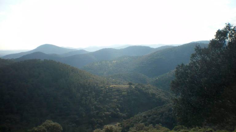Rescate de un vecino perdido en un paraje escarpado de Vilches Rescate de un vecino perdido en un paraje escarpado de Vilches