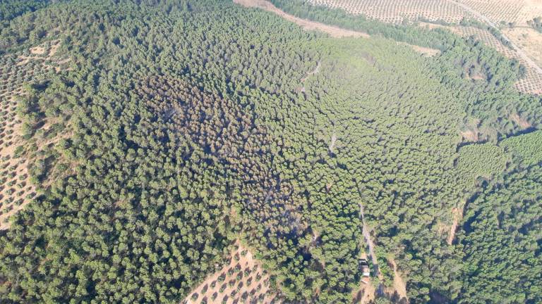 Así se ve el incendio de Benatae, ya estabilizado, desde un helicóptero Así se ve el incendio de Benatae, ya estabilizado, desde un helicóptero
