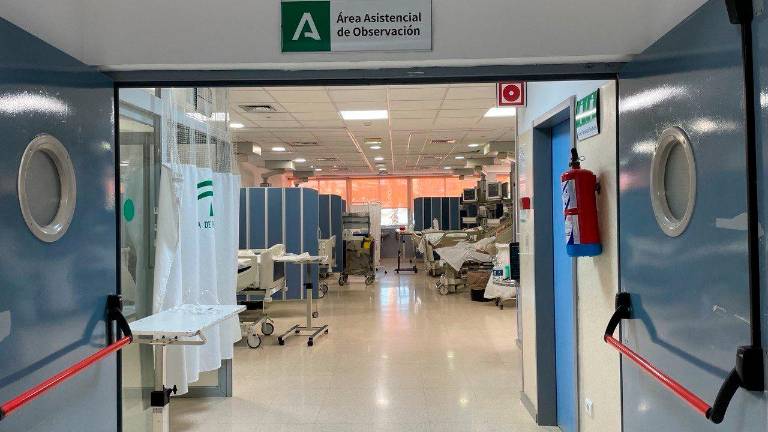 Andalucía supera el pico de incidencia de infecciones respiratorias Andalucía supera el pico de incidencia de infecciones respiratorias