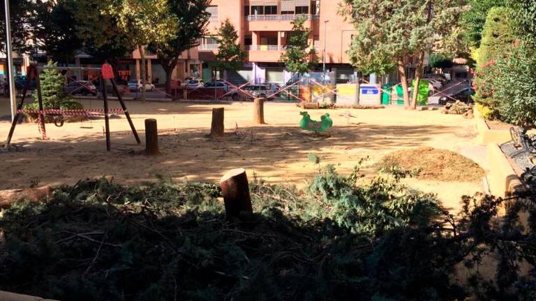 Polémica por la tala de árboles en la obra de la Plaza de Juan Carlos I Polémica por la tala de árboles en la obra de la Plaza de Juan Carlos I