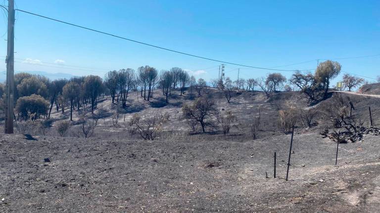Infoca da por controlado el incendio del embalse del Encinarejo Infoca da por controlado el incendio del embalse del Encinarejo