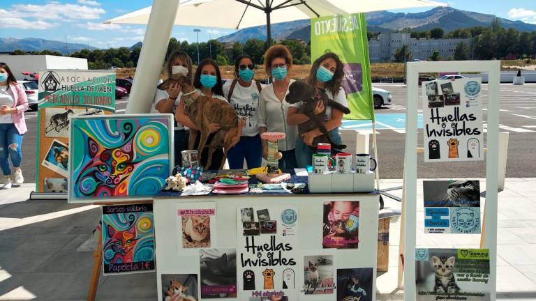 Iniciativa solidaria por los animales Iniciativa solidaria por los animales