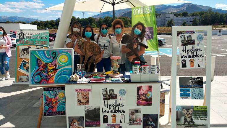 Iniciativa solidaria por los animales