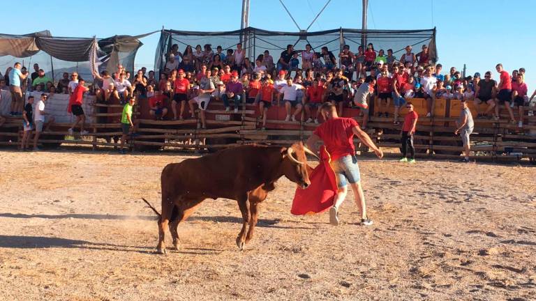 Vacas entre tablas y remolques Vacas entre tablas y remolques