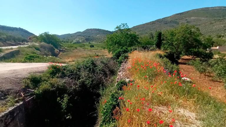 Un agricultor valdepeñero elude una multa por regar sin permiso Un agricultor valdepeñero elude una multa por regar sin permiso