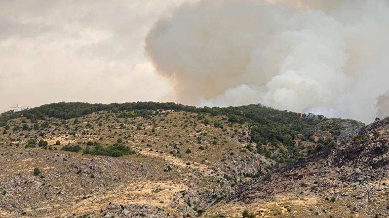 Quesada, afectada de nuevo por un incendio cinco años después del último, que arrasó 9.761 hectáreas Quesada, afectada de nuevo por un incendio cinco años después del último, que arrasó 9.761 hectáreas