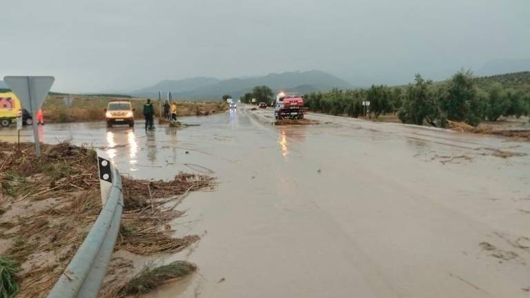 Precaución al circular por la A-401, a su paso por Úbeda Precaución al circular por la A-401, a su paso por Úbeda