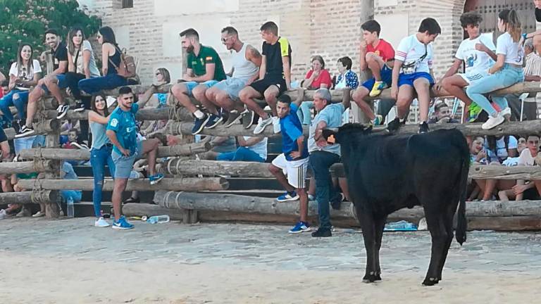 La colonia celebra a su patrón La colonia celebra a su patrón