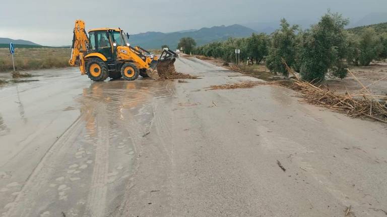Precaución al circular por la A-401, a su paso por Úbeda Precaución al circular por la A-401, a su paso por Úbeda