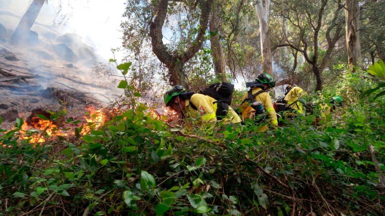 El Infoca da por controlado el incendio forestal de Tarifa El Infoca da por controlado el incendio forestal de Tarifa