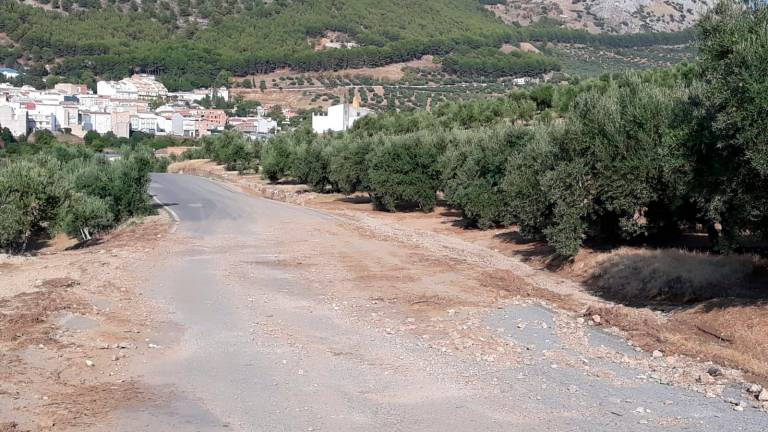 Denuncian que no se actúe en vías afectadas por la DANA Denuncian que no se actúe en vías afectadas por la DANA