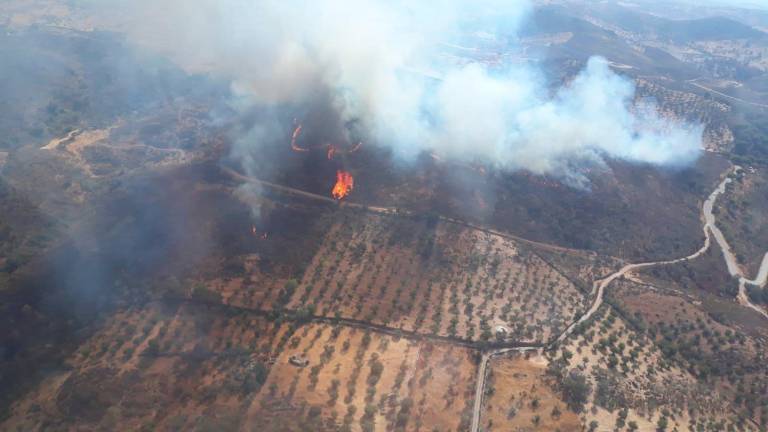 Portugal decreta el estado de alerta por el desarrollo de los incendios Portugal decreta el estado de alerta por el desarrollo de los incendios