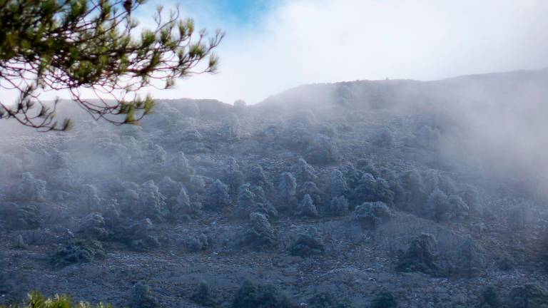 La nieve ya se deja ver en la Sierra de Cazorla La nieve ya se deja ver en la Sierra de Cazorla