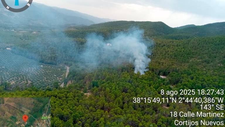 Activo un incendio forestal en Cortijos Nuevos Activo un incendio forestal en Cortijos Nuevos
