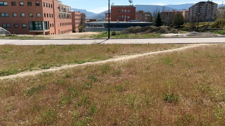 La UJA inicia las obras de su Complejo de Investigación en el Campus Las Lagunillas La UJA inicia las obras de su Complejo de Investigación en el Campus Las Lagunillas