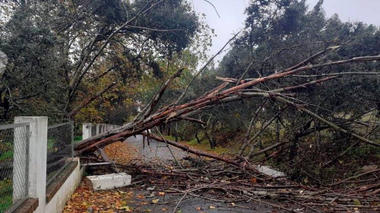 Las lluvias provocan una decena de incidencias en municipios costeros de Huelva Las lluvias provocan una decena de incidencias en municipios costeros de Huelva