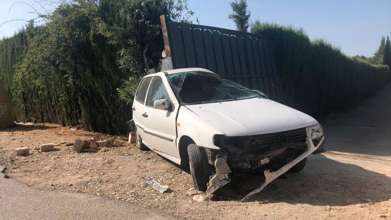 Un conductor sufre un choque cuando trata de esquivar un perro Un conductor sufre un choque cuando trata de esquivar un perro