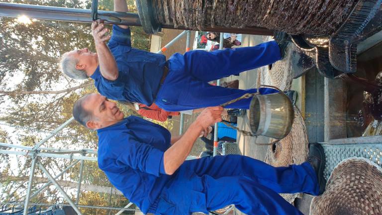 Los marteños no dudan en rendir homenaje a su tradición olivarera Los marteños no dudan en rendir homenaje a su tradición olivarera