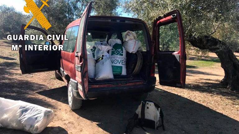 Doce investigados acusados de hurtos de aceituna por toda la provincia Doce investigados acusados de hurtos de aceituna por toda la provincia