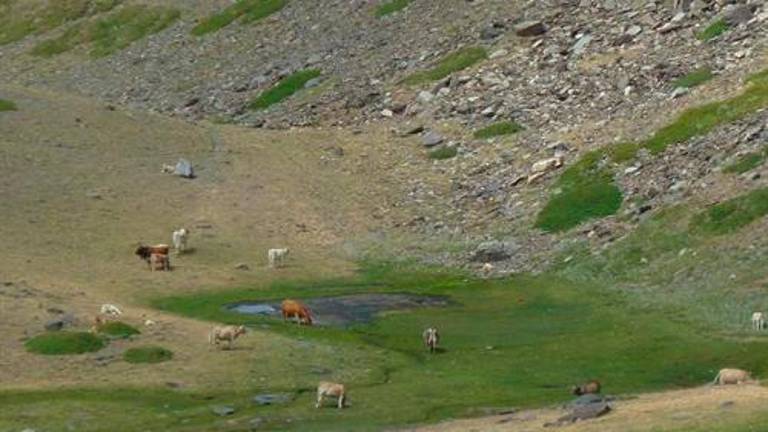 La UJA descubre tres especies diatomeas en humedales de las Cordilleras Béticas La UJA descubre tres especies diatomeas en humedales de las Cordilleras Béticas
