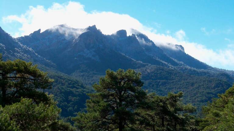 La nieve ya se deja ver en la Sierra de Cazorla La nieve ya se deja ver en la Sierra de Cazorla