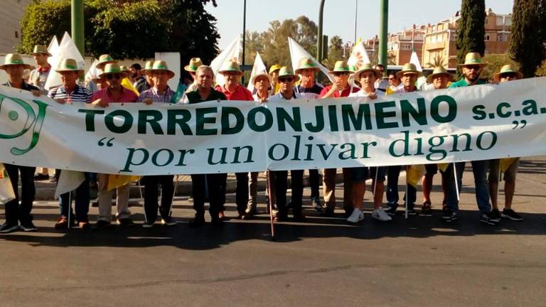 Miles de olivareros protestan por el “robo” de los bajos precios Miles de olivareros protestan por el “robo” de los bajos precios