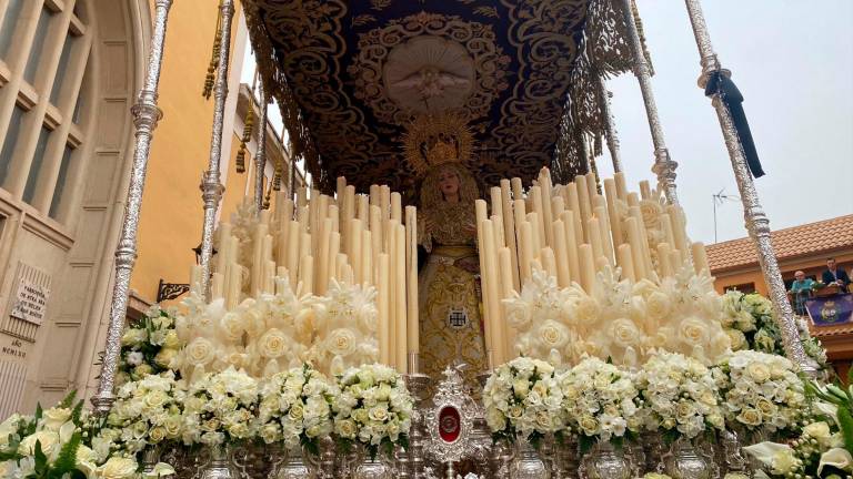 Jaén disfruta de la Borriquilla por sus calles Jaén disfruta de la Borriquilla por sus calles