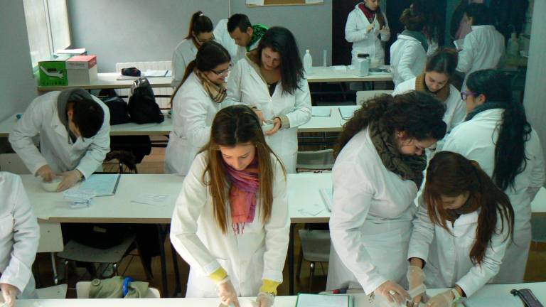 Una formación con gran futuro Una formación con gran futuro