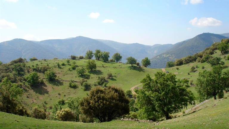 Asaja rechaza la iniciativa para lograr la declaración de Parque Natural de la Sierra Sur Asaja rechaza la iniciativa para lograr la declaración de Parque Natural de la Sierra Sur