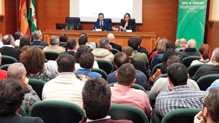 Ayudas para ciudades inteligentes Ayudas para ciudades inteligentes
