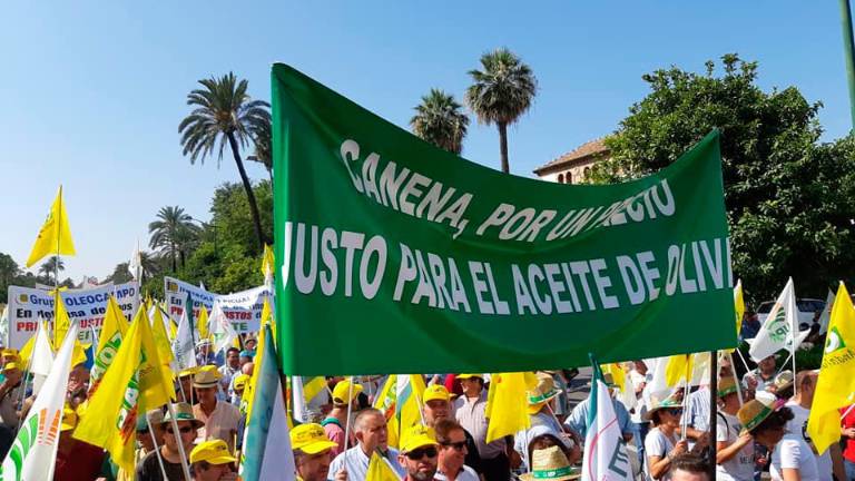 Miles de olivareros protestan por el “robo” de los bajos precios Miles de olivareros protestan por el “robo” de los bajos precios