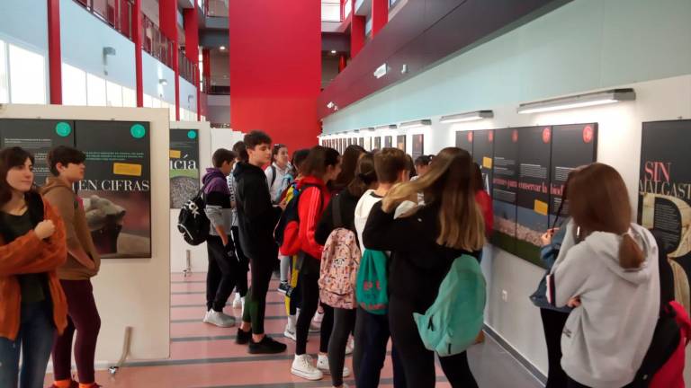 Formas distintas de aprender Formas distintas de aprender