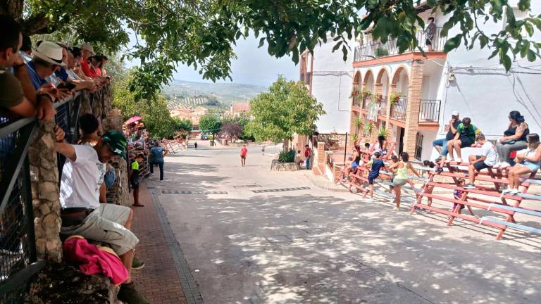 Suelta de reses por segundo año consecutivo en Burunchel Suelta de reses por segundo año consecutivo en Burunchel
