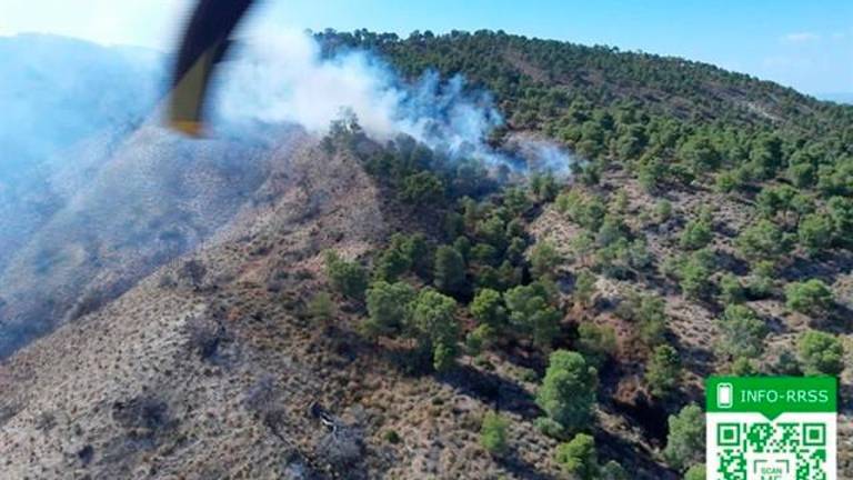 Controlado el incendio forestal en Huesa Controlado el incendio forestal en Huesa