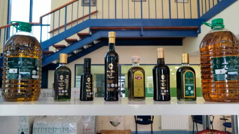 La cooperativa de Campillo de Arenas multiplica su producción de AOVE de cosecha temprana La cooperativa de Campillo de Arenas multiplica su producción de AOVE de cosecha temprana