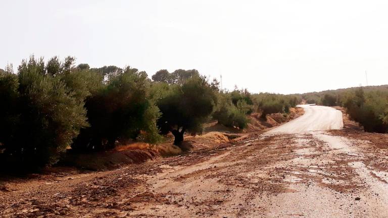 Denuncian que no se actúe en vías afectadas por la DANA Denuncian que no se actúe en vías afectadas por la DANA
