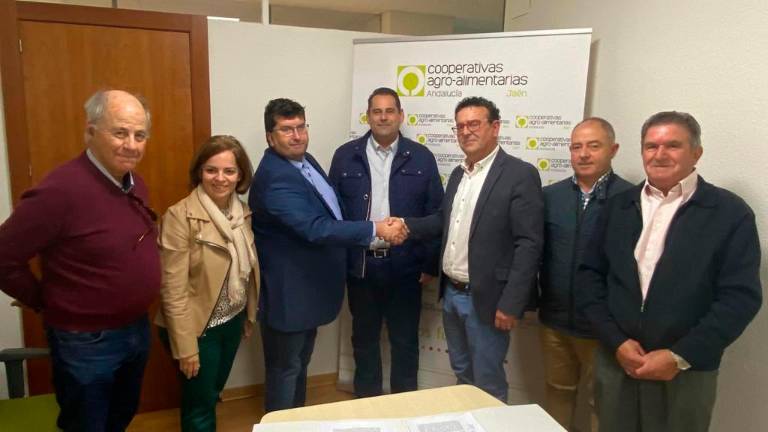 De la necesidad virtud: Dos cooperativas jiennenses se unen para molturar juntas la aceituna De la necesidad virtud: Dos cooperativas jiennenses se unen para molturar juntas la aceituna