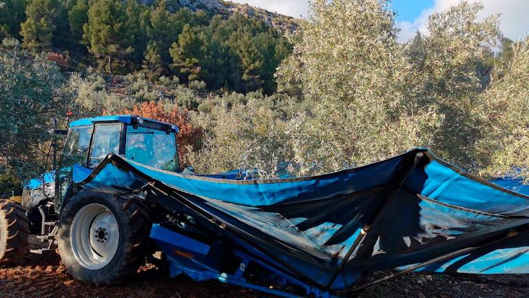 Organizaciones agrarias valoran la bajada del IRPF a agricultores jiennenses Organizaciones agrarias valoran la bajada del IRPF a agricultores jiennenses