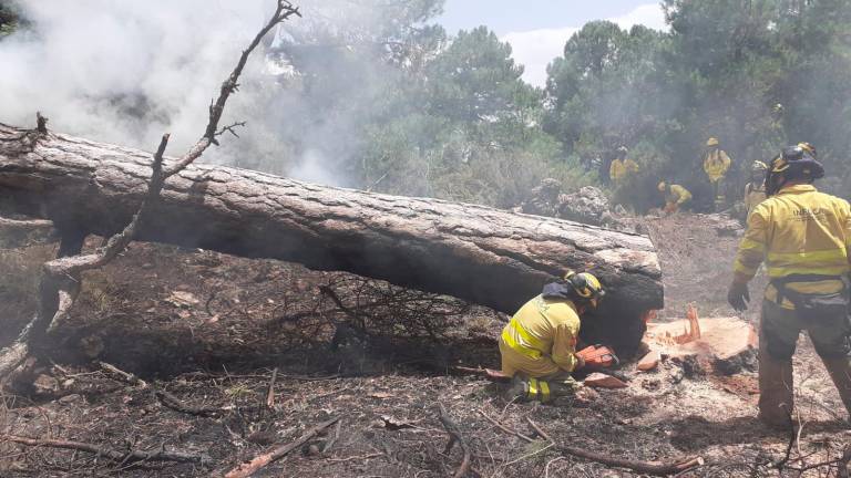 Continúa el remate y extinción de los incendios del Barranco de Guadalentín y del Torcal del Lobo en Cazorla Continúa el remate y extinción de los incendios del Barranco de Guadalentín y del Torcal del Lobo en Cazorla