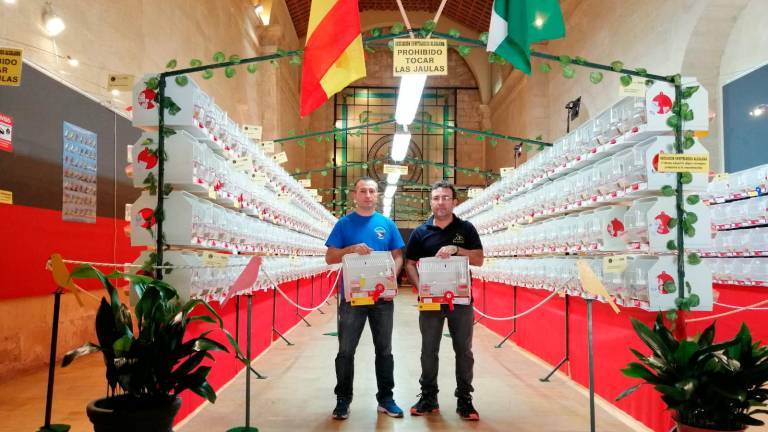 El concurso ornitológico bate récords de participación con unas 780 aves El concurso ornitológico bate récords de participación con unas 780 aves