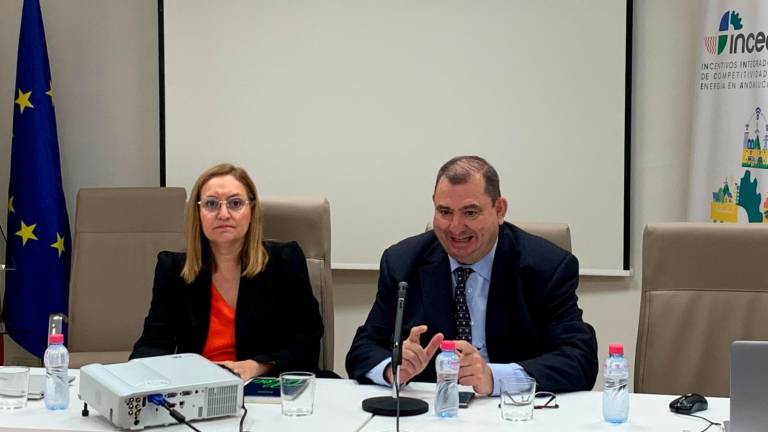 Apuesta decidida por la competitividad industrial y la eficiencia energética de las empresas jiennenses Apuesta decidida por la competitividad industrial y la eficiencia energética de las empresas jiennenses
