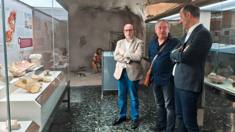 El Museo de Jaén exhibe piezas del alcázar almohade en una nueva vitrina arqueológica El Museo de Jaén exhibe piezas del alcázar almohade en una nueva vitrina arqueológica